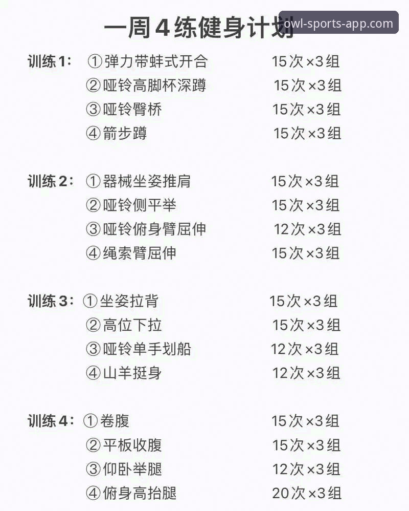 猫头鹰体育平台2024年最新使用技巧解析：从新手到高手的进阶指南