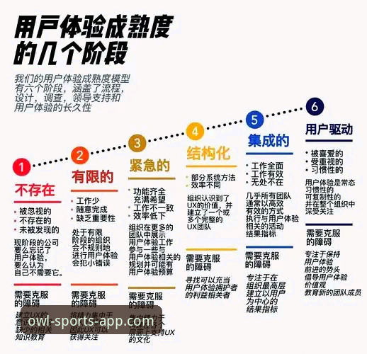 猫头鹰体育平台服务模式与用户体验深度解析